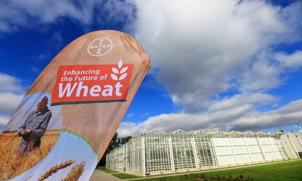 bayer, monsanto, niemcy, leverkusen, środki ochrony roślin, hugh grant