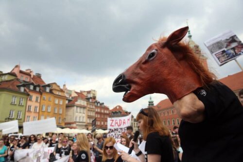 konie, ubezpieczenie konia, koń, ubezpiecz konia, Concordia Ubezpieczenia