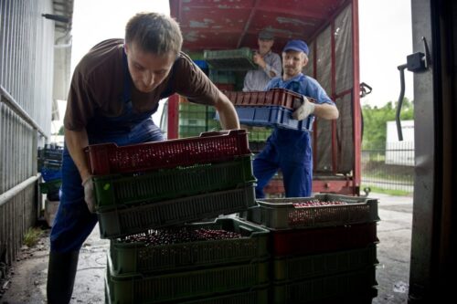 praca, umowa o pracę, prawo pracy, sejm, pip