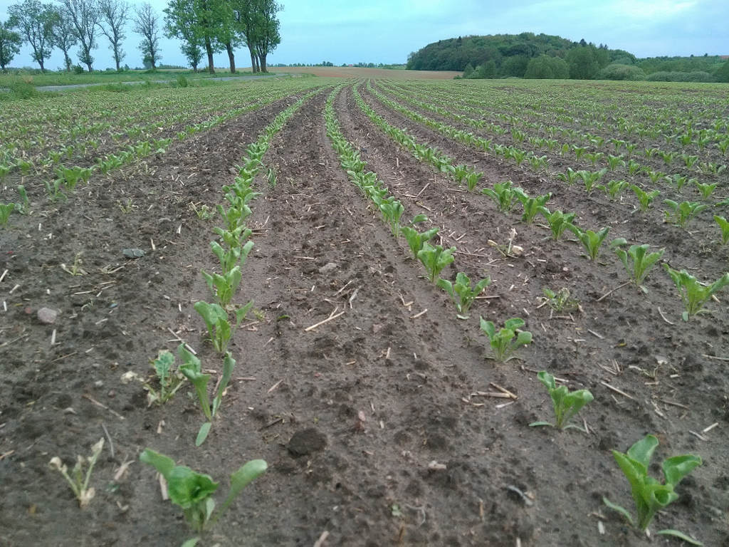 ustawa o kształtowaniu ustroju rolnego, kowr, kupno ziemi, sprzedaż ziemi, nieruchomości rolne