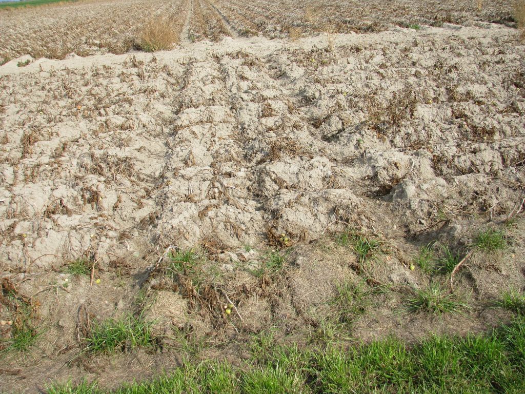klimatyczny bilans wodny, stacje meteorologiczne, susza rolnicza