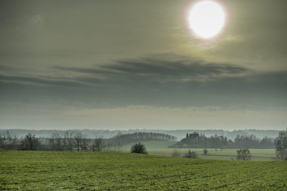zakup ziemi przez cudzoziemców, mswia, zakup ziemi