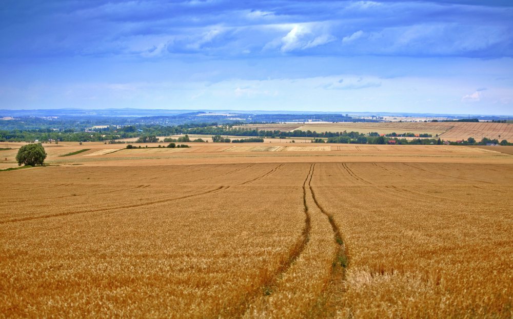 śląsk, rozwój wsi, rybołówstwo, EFRROW