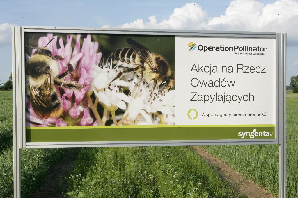 na rzecz owadow zapylajacych