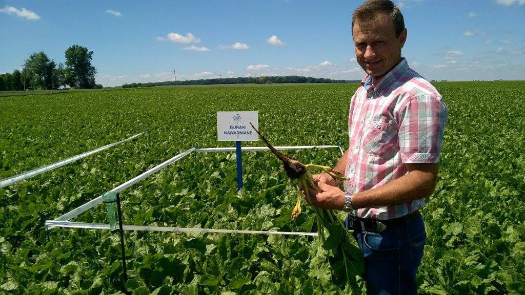 Dzień Pola Hulcze 2016