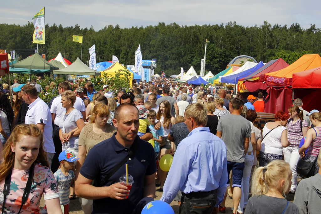 Pomorskie Agro Targi w Lubaniu, wystawa zwierząt