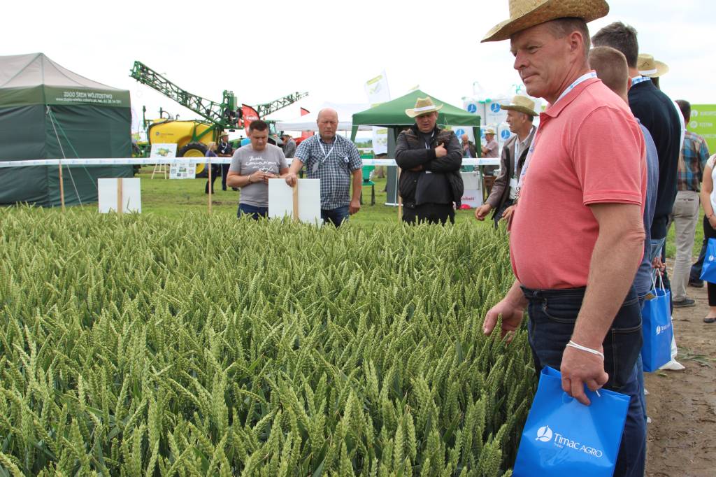 Timac Agro Polska, Śrem, impreza polowa, Panorama Pól Timac Agro, uprawa, nawożenie