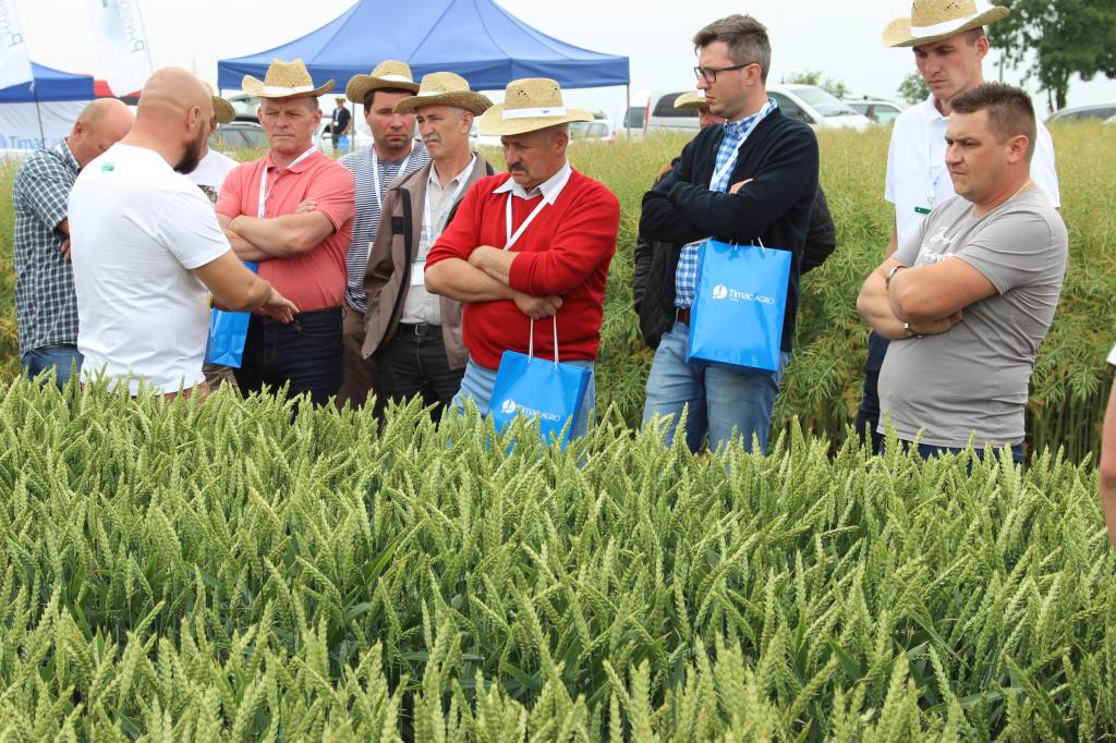 Timac Agro Polska, Śrem, impreza polowa, Panorama Pól Timac Agro, uprawa, nawożenie
