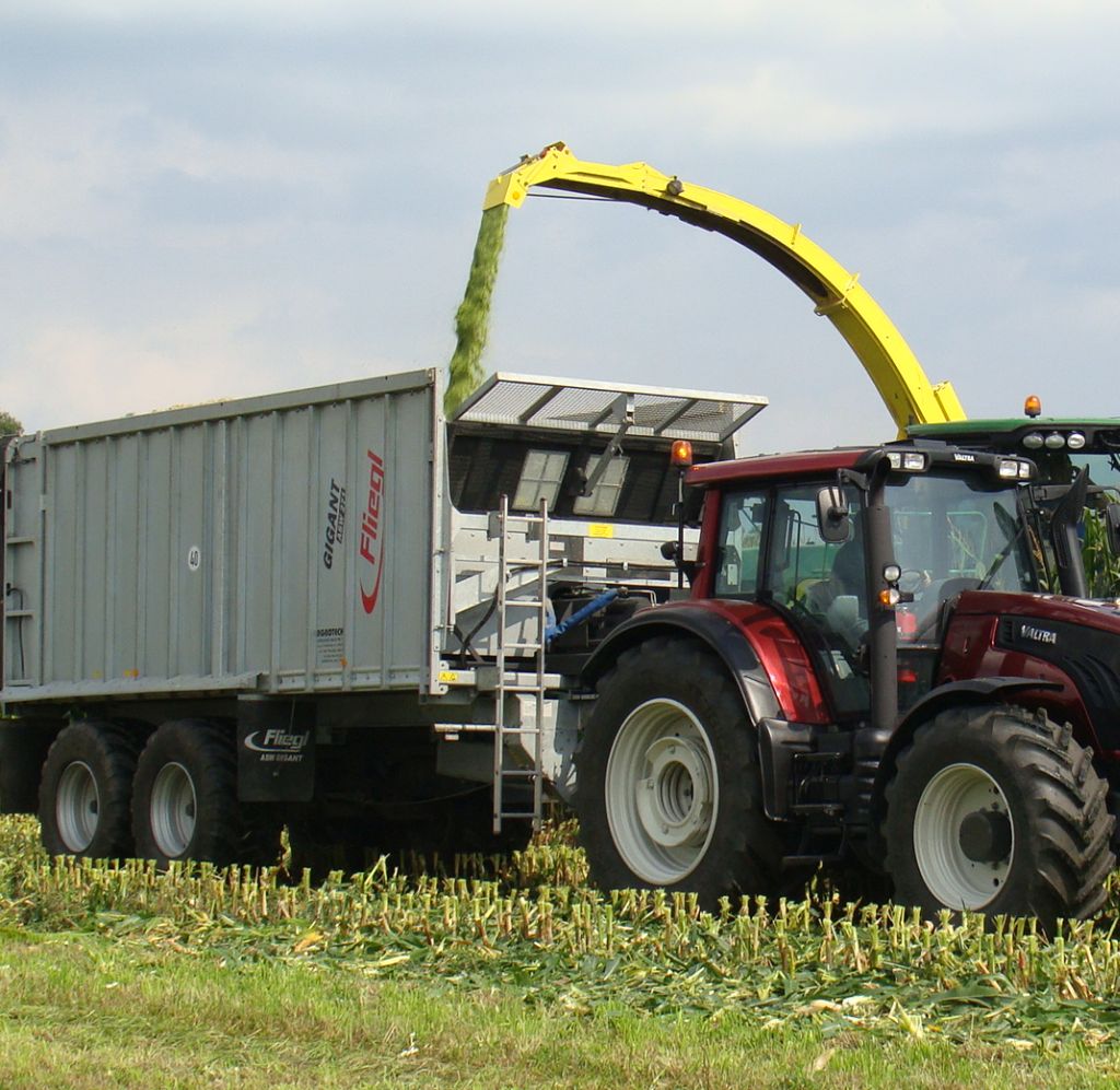 import płodów rolnych, ukraina, krir, bezcłowy kontyngent