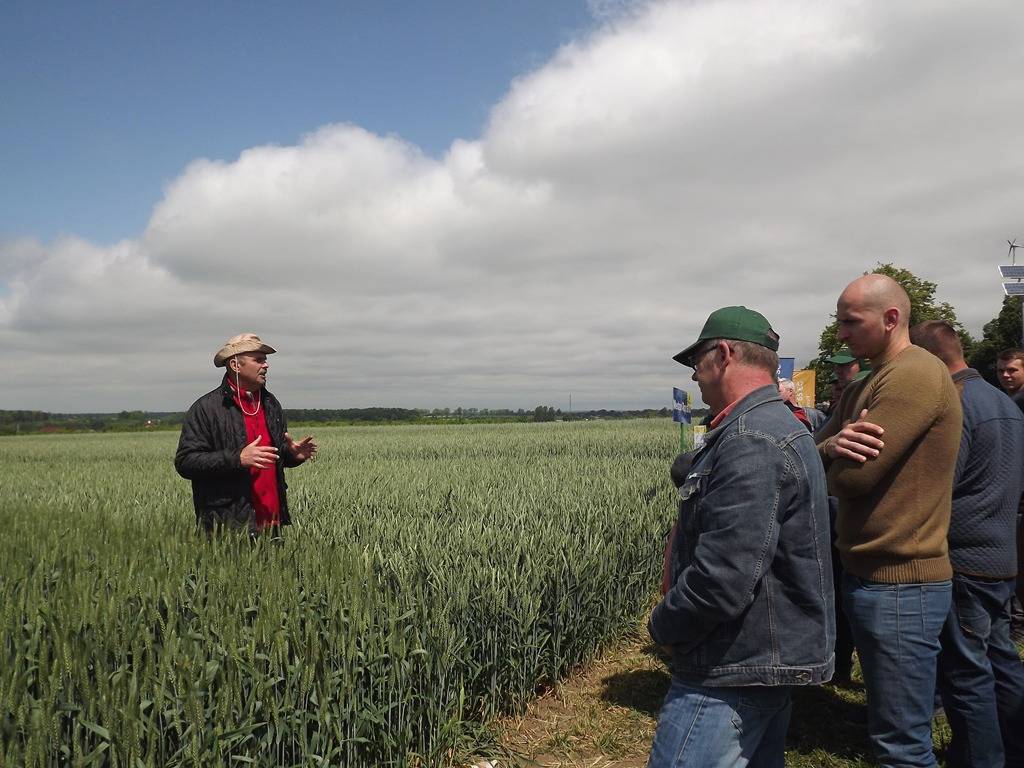 Wilkołaziak, zboża, Dzień Pola Wilkołaziak 2016, rolnicy, lubelskie, BASF, Danko, Top Farm