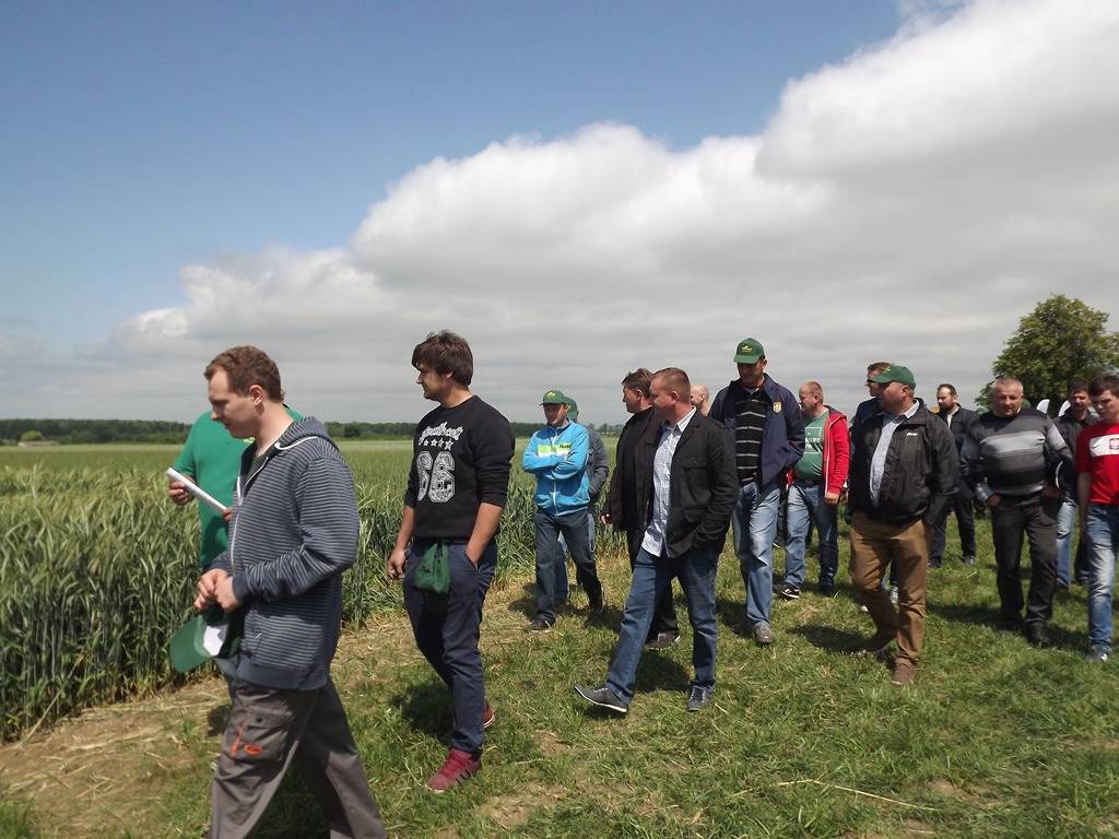 Wilkołaziak, zboża, Dzień Pola Wilkołaziak 2016, rolnicy, lubelskie, BASF, Danko, Top Farm