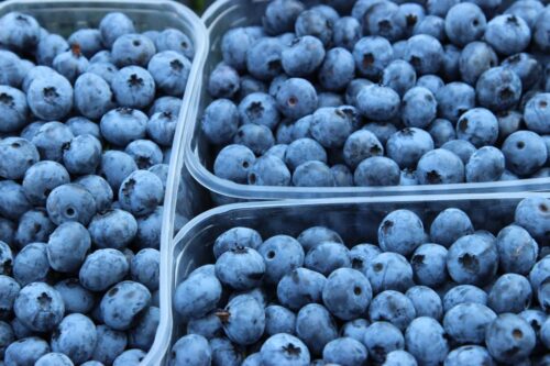 borówki amerykańskie, maliny, śliwki, owoce, warzywa, Bronisze, ceny owoców