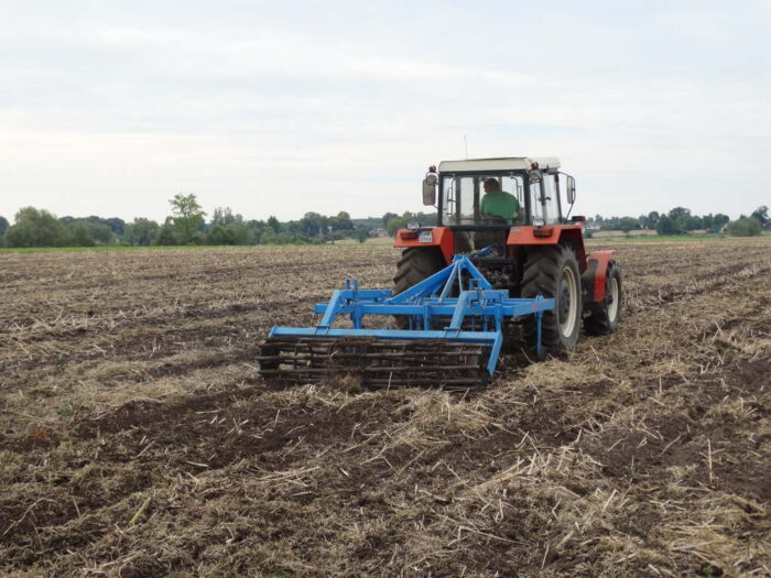 uprawa pożniwna, agregat scierniskowy, rzepaczysko, Sahryń