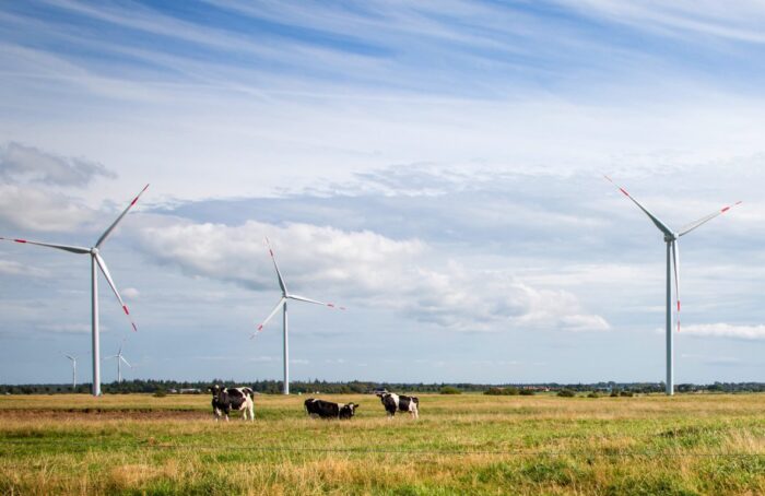 elektrowania wiatrowa, farma wiatrowa, turbiny wiatrowe, polskie stowarzyszenie energetyki wiatrowej, pis, vestas
