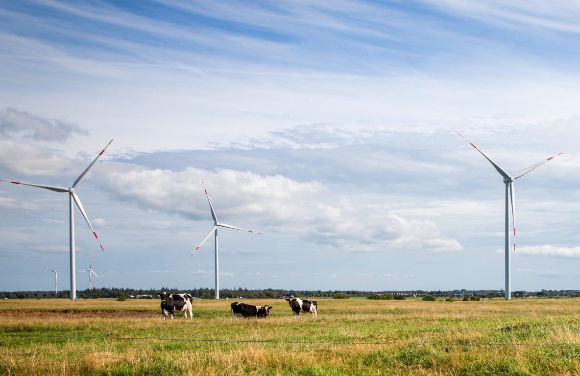 elektrowania wiatrowa, farma wiatrowa, turbiny wiatrowe, polskie stowarzyszenie energetyki wiatrowej, pis, vestas