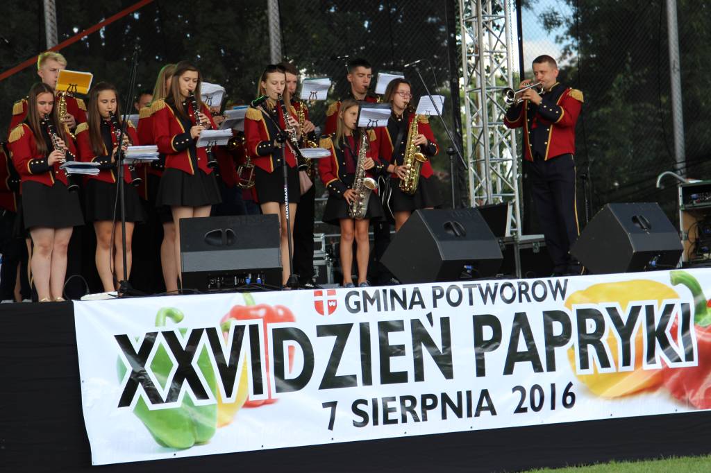 papryka, Potworów, uprawa papryki, plantacja papryki, warzywa, XXIV Dzień Papryki w Potworowie, cena papryki w skupie