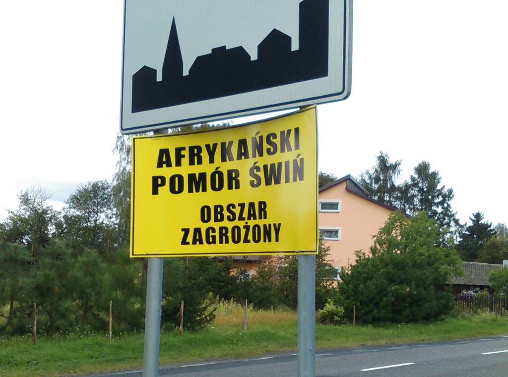 ognisko ASF, wirus,