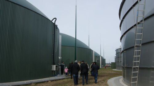 towarowa giełda energii, biogazowe certyfikaty, zielone certyfikaty, biogaz rolniczy, energia elektryczna, ustawa o oze