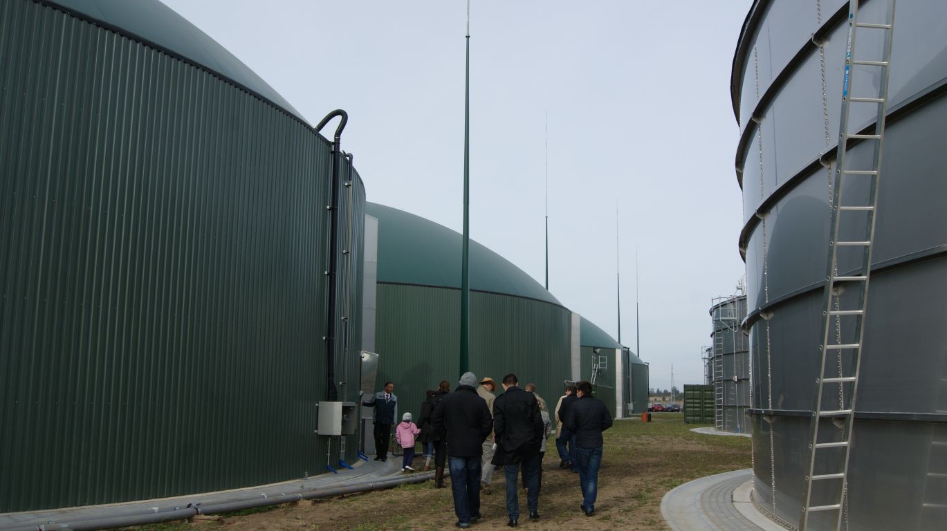 towarowa giełda energii, biogazowe certyfikaty, zielone certyfikaty, biogaz rolniczy, energia elektryczna, ustawa o oze