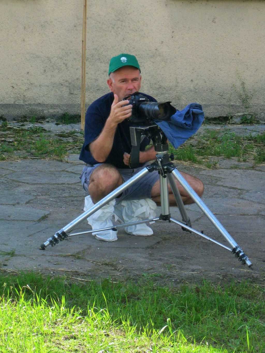 fotografowanie bydła, buhaje, SHiUZ