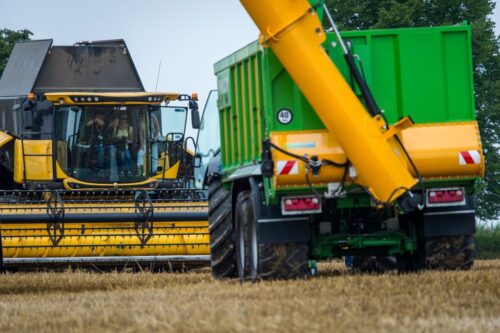 koniunktura, koniunktura w rolnictwie, Szkoła Główna Handlowa, wskaźnik koniunktury, ceny żywności