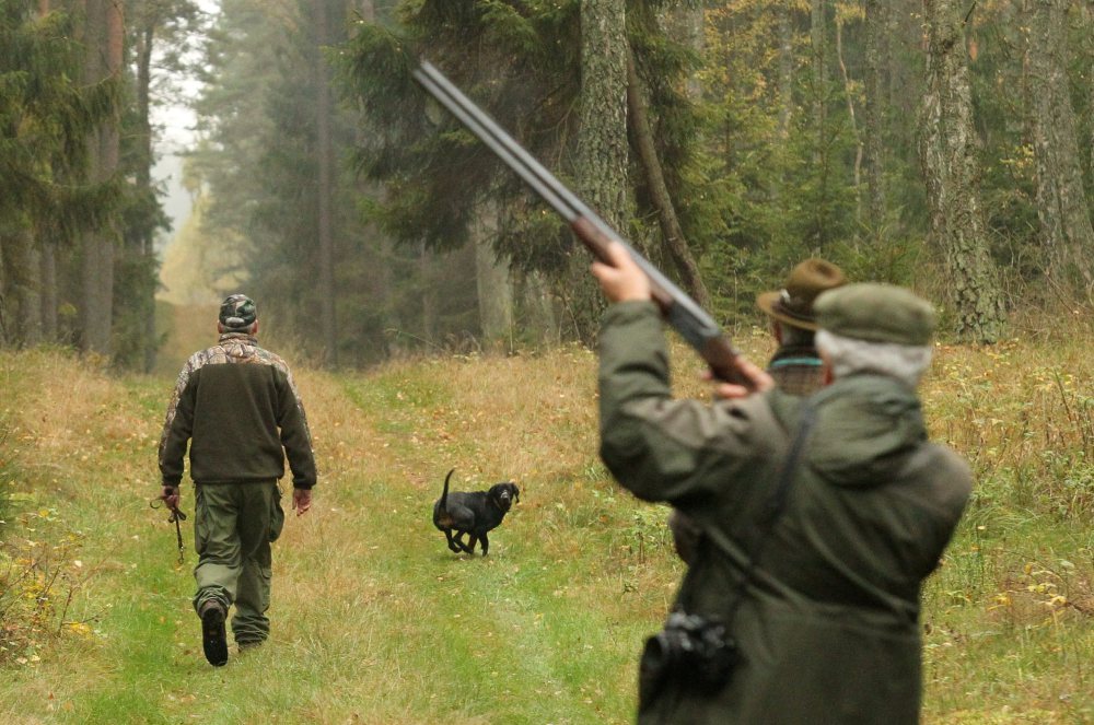 OPZZ Rolników, Polski Związek Łowiecki, sławomir izdebski, koła łowieckie, mysliwi