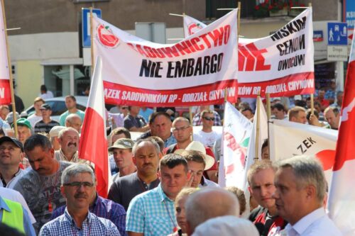 sadownicy, ceny skupu owoców miękkich, sadownictwo, premier Morawiecki, rząd PiS