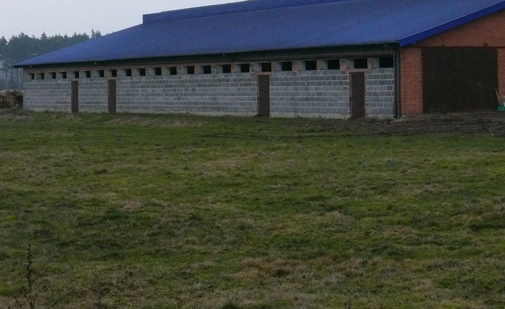 łąki pastwiska jesień