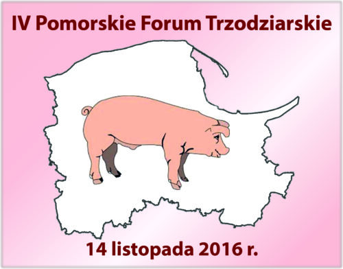 forum trzoda chlewna