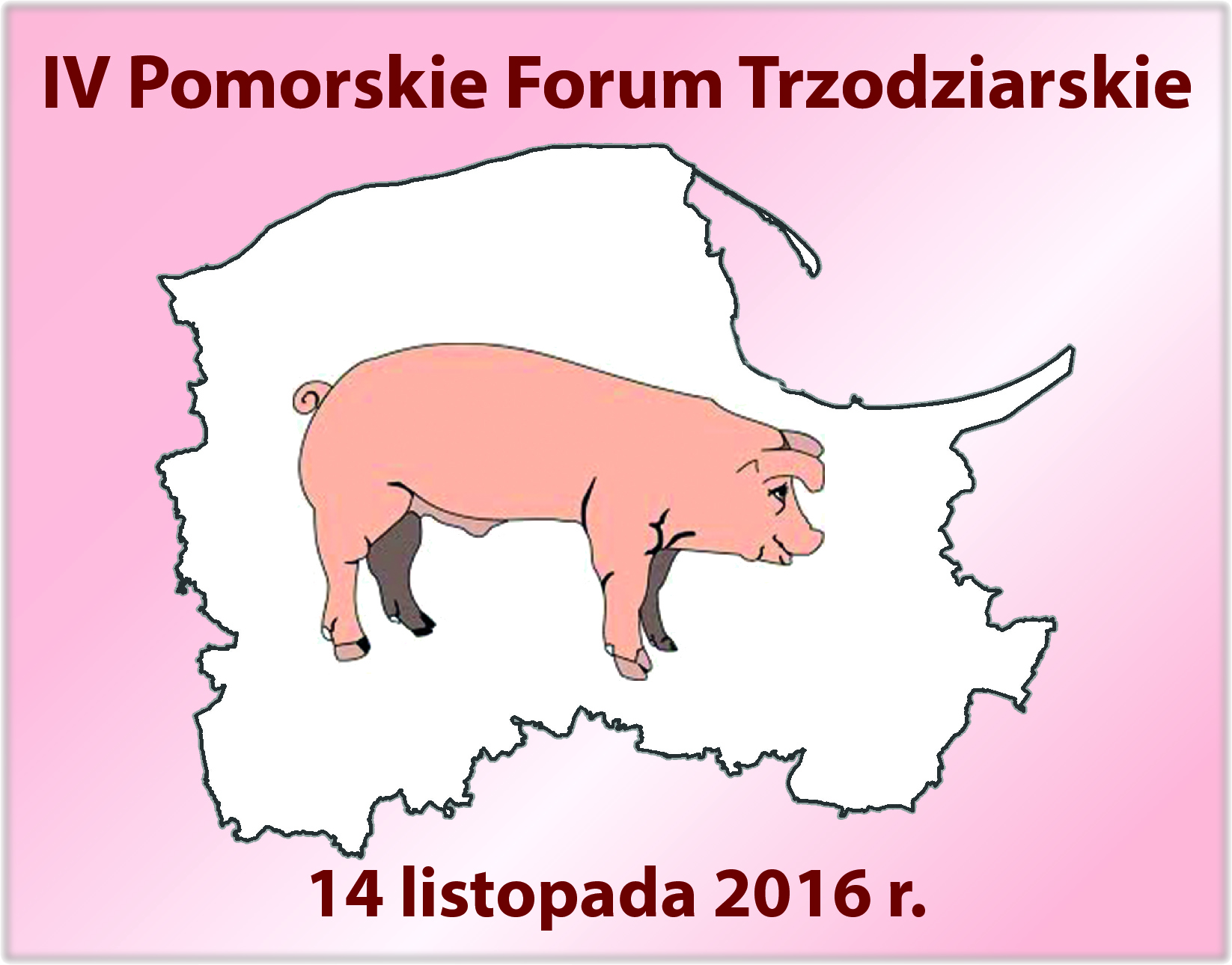 forum trzoda chlewna