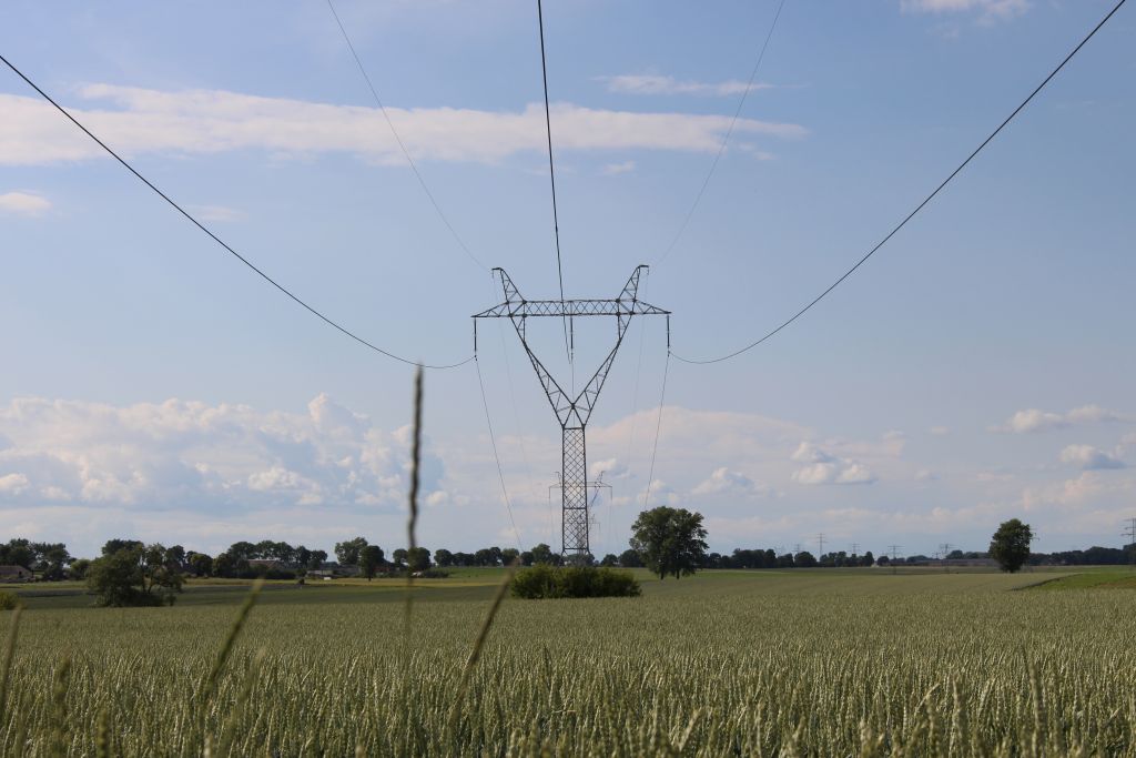 zmiana dostawcyy energii elektrycznej, Kamil Pluskwa-Dąbrowski, Rada Krajowej Federacji Konsumentów
