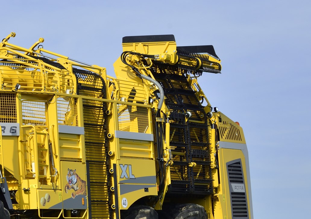 Ropa Tiger 6