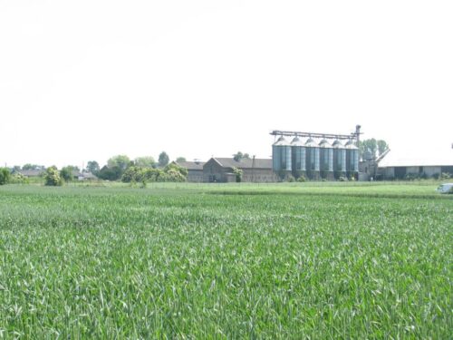podatek rolny, gus, główny urząd statystyczny, rolnictwo, pieniądze