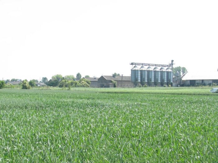 podatek rolny, gus, główny urząd statystyczny, rolnictwo, pieniądze
