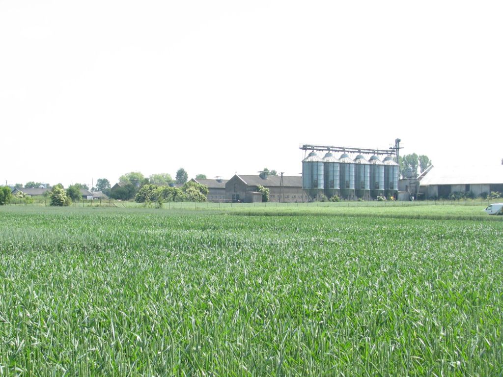 podatek rolny, gus, główny urząd statystyczny, rolnictwo, pieniądze