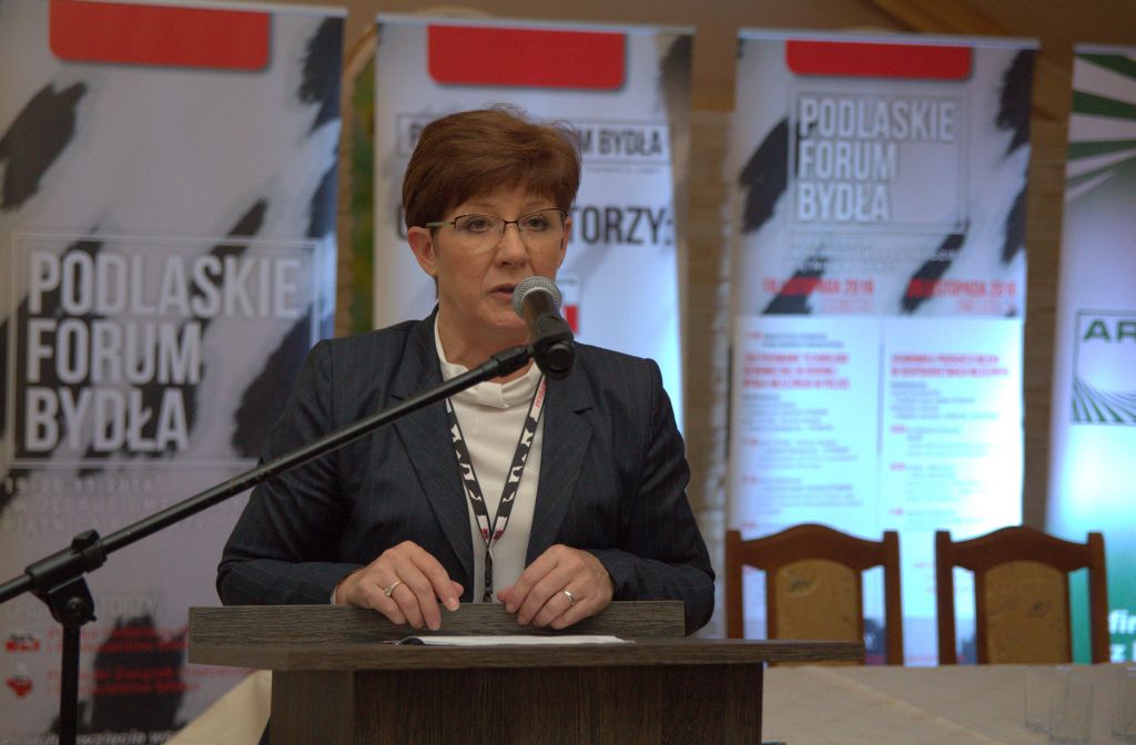 Podlaskie Forum Bydła, Piątnica