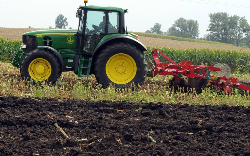 rolnictwo, koniunktura w rolnictwie, GUS, opłacalność produkcji rolniczej