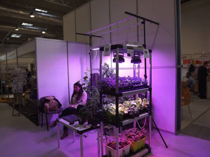 Targi Sadowniczo-Warzywnicze VegeFruit Expo, Lublin, targi, sadownictwo