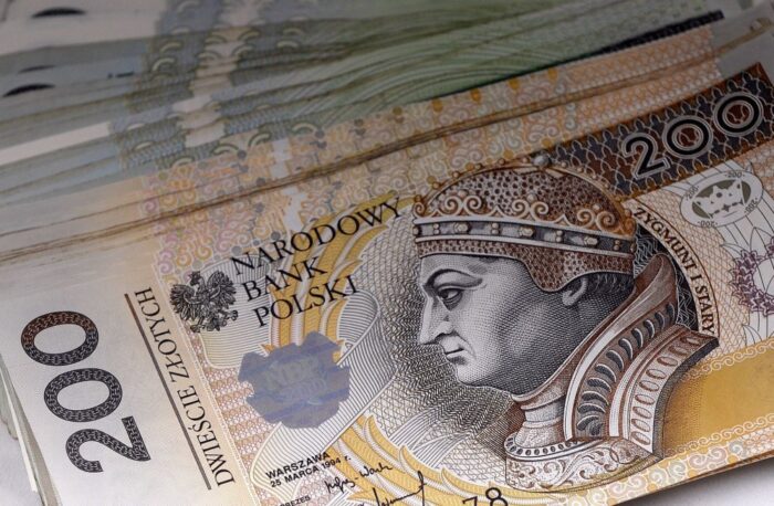 Dług Skarbu Państwa, zadłużenie państwa, złoty, skarb państwa