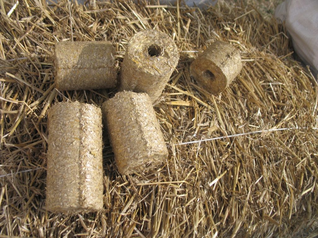 produkcja biomasy, Spółdzielnia Kółek Rolniczych w Daszynie, elektrownia bełchatów