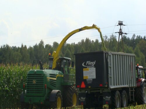 ukraina, import zbóż z ukrainy, komisja europejska, kukurydza, pszenica