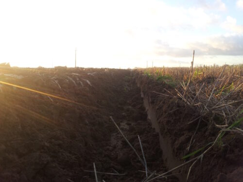 nawożenie, nawożenie obornikiem, nawożenie gnojowicą, zabiegi agrotechniczne, krir