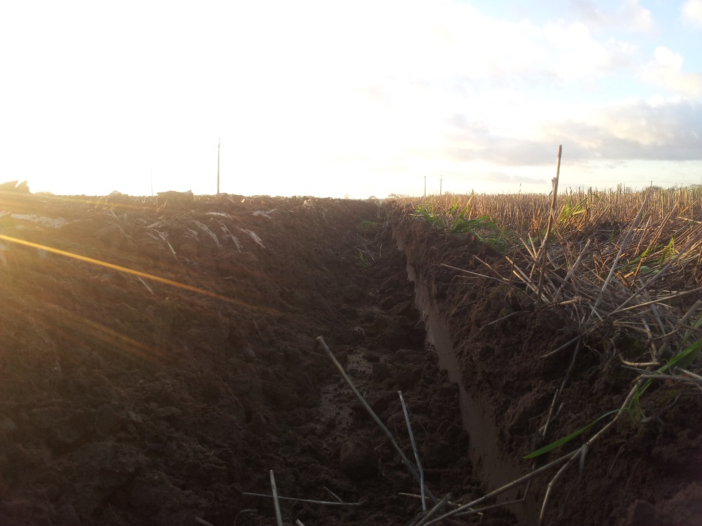 nawożenie, nawożenie obornikiem, nawożenie gnojowicą, zabiegi agrotechniczne, krir