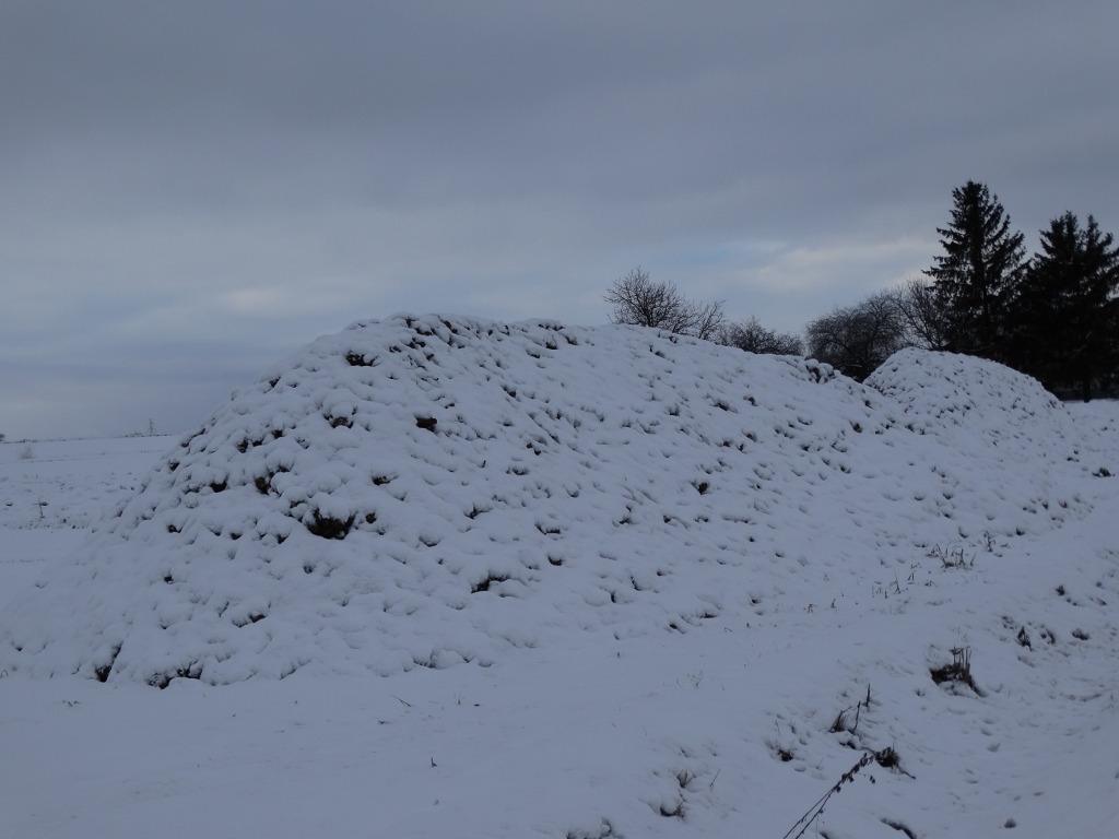 pryzma, buraki, śnieg