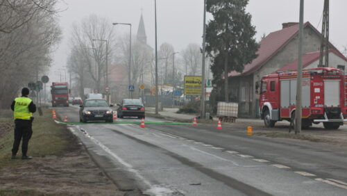 ptasia grypa, deszczno, lubuskie, drób, gęsi, ewa lech, ministerstwo rolnictwa