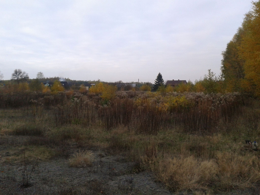 ugór, rekultywacja, pole