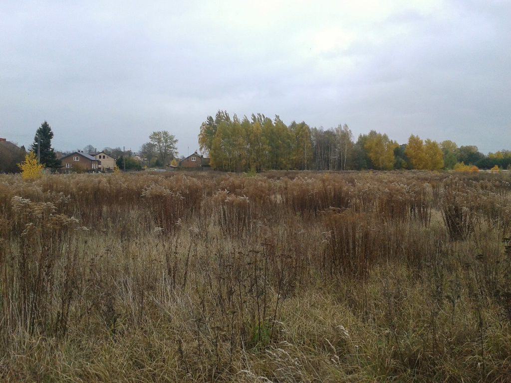 ugór, rekultywacja, pole