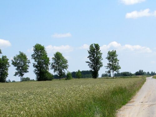 opolszczyzna, śląsk, ziemia, nieruchomość rolna, zakup ziemi, kryteria przy zakupie ziemi