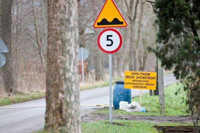 ptasia grypa, H5N8, nowe przypadki ptasiej grypy, podtyp H5N8, drób, wirus