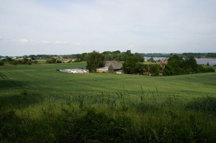 nawożenie, NIK, raport, gleba, uprawa, badanie gleby